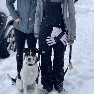 The North Face Black Snow Bib